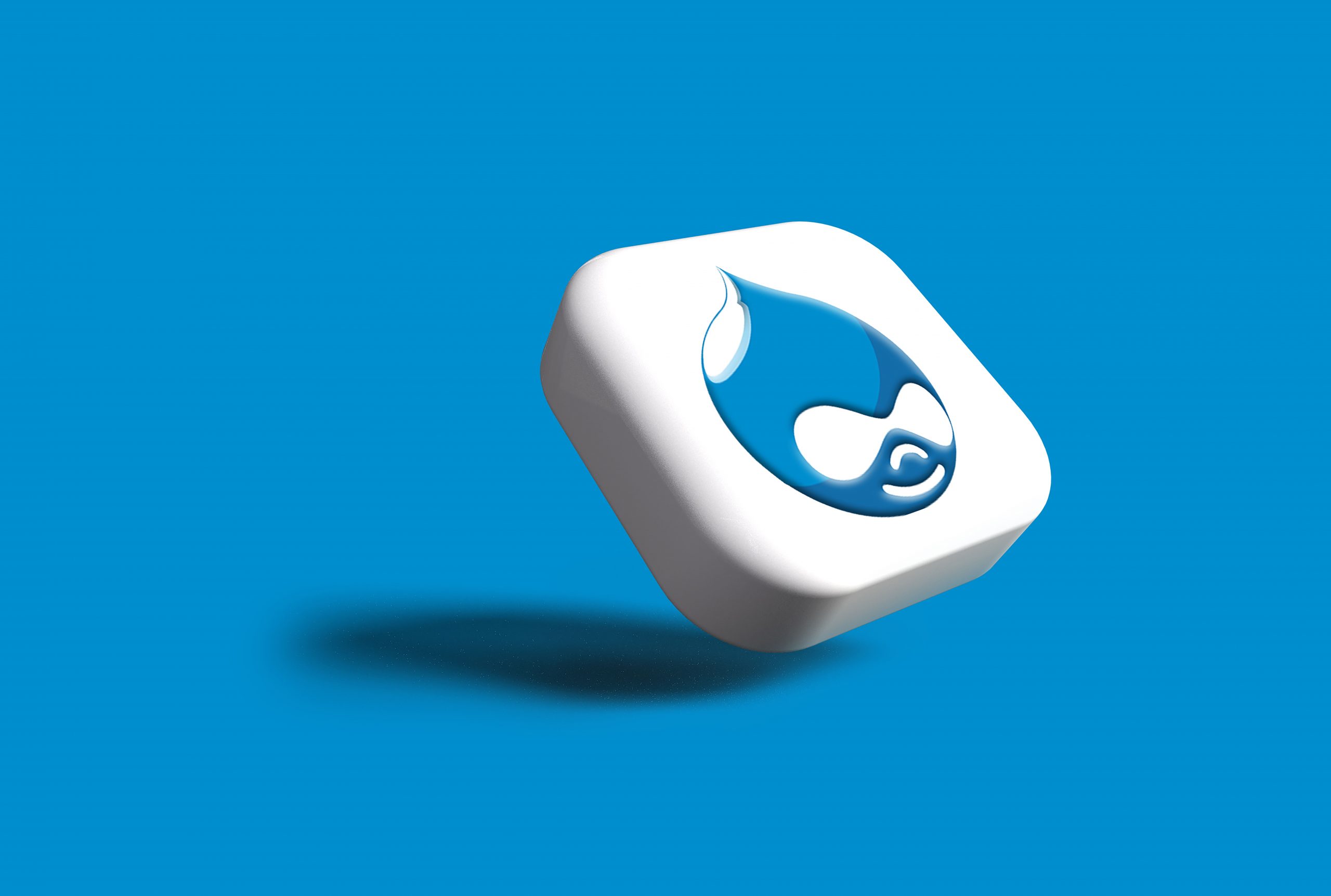 State of AI Coding Assistants for Drupal Web Development